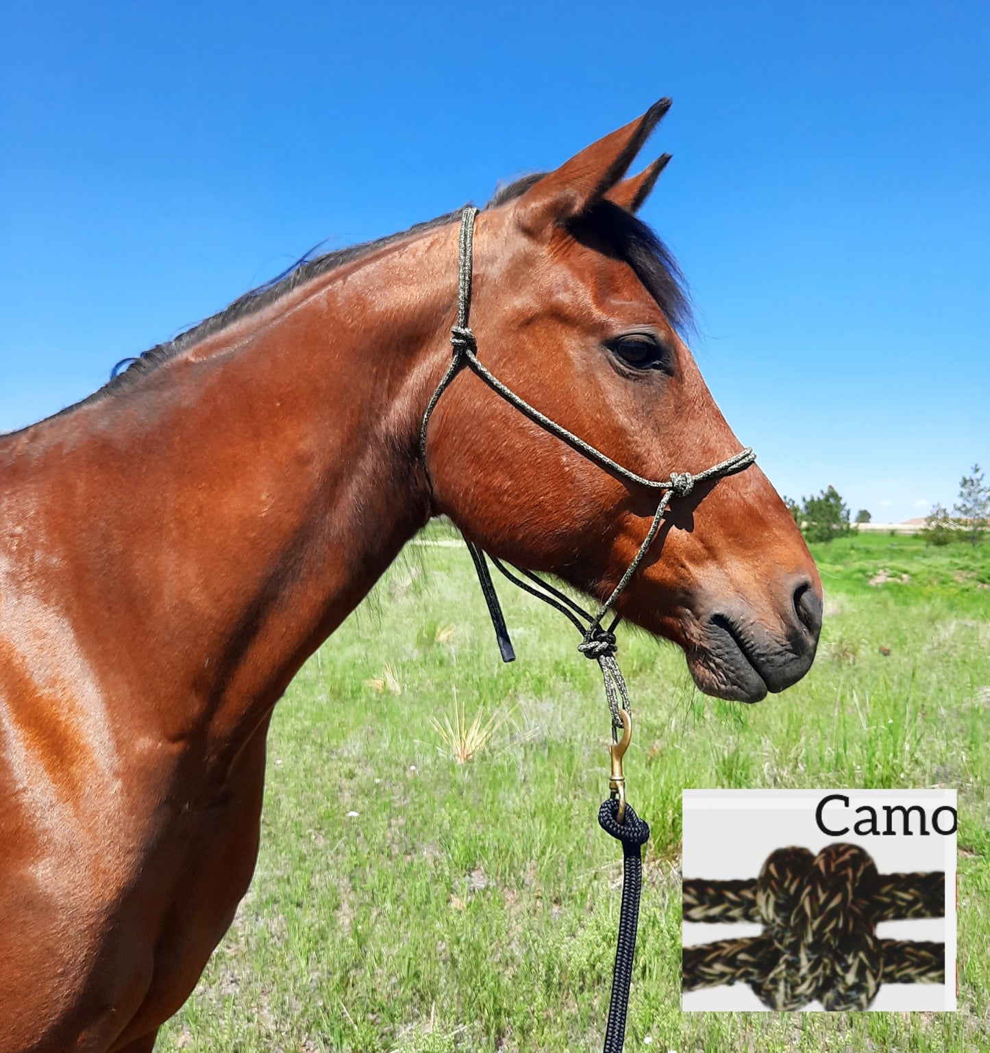 2 Knot Stiff Rope Halter ( Variety of Colors Available )