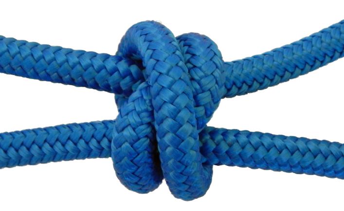 4 Knot Training Halter