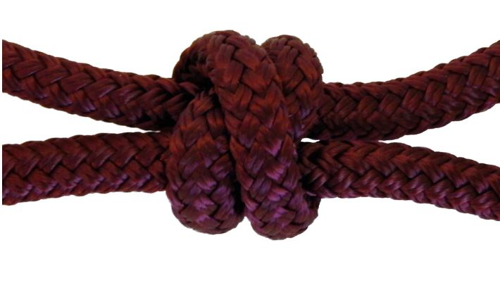 4 Knot Training Halter