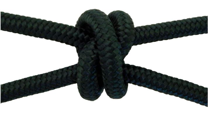 4 Knot Training Halter