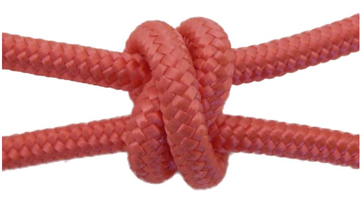 4 Knot Training Halter