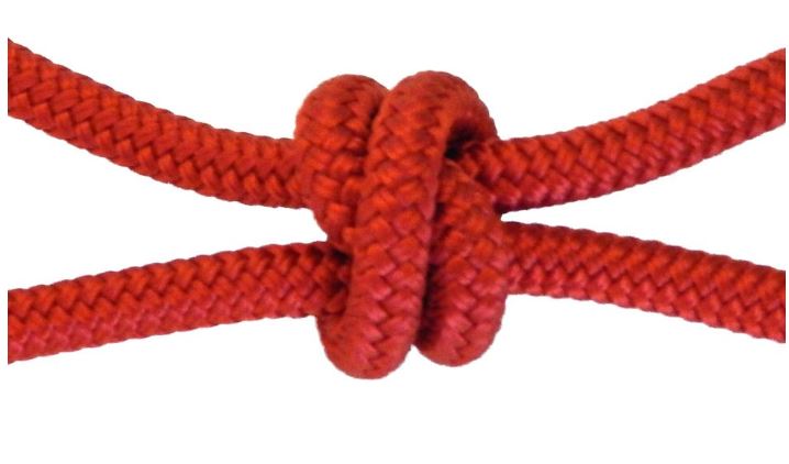 2 Knot Stiff Rope Halter ( Variety of Colors Available )