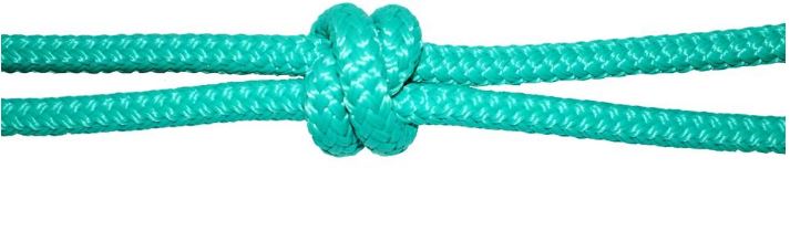 4 Knot Training Halter