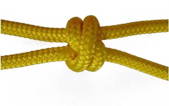 4 Knot Training Halter